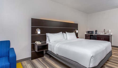 Suite, 1 King Bed with Sofa bed