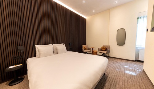 Standard Room, 1 King Bed, Non Smoking (with Sofabed)