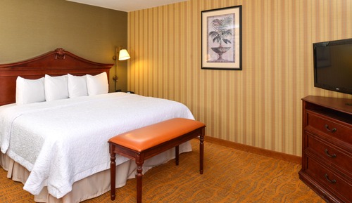 Room, 1 King Bed, Accessible