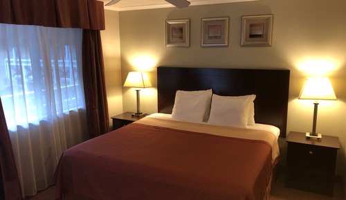 Room, 1 King Bed, Non Smoking