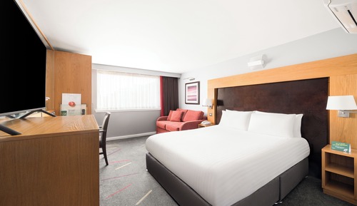 Suite, 1 King Bed with Sofa bed