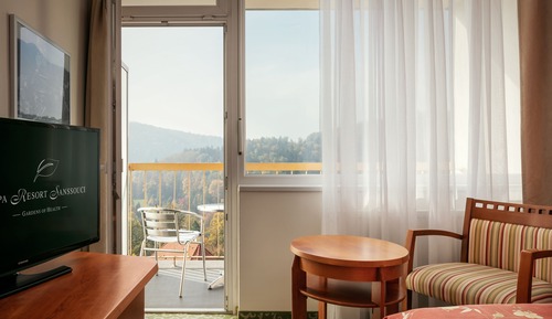 Double or Twin Room, Balcony, City View (Wellness access)