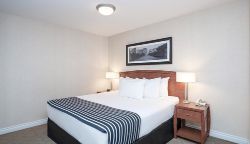 Suite, Kitchenette (Loft. 1 King Bed, Sofa Bed)