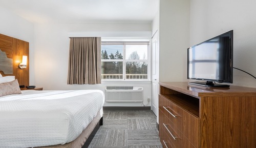 Standard Room, 1 King Bed with Sofa bed