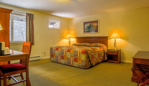 Superior Room, 2 Bedrooms - Pet Friendly