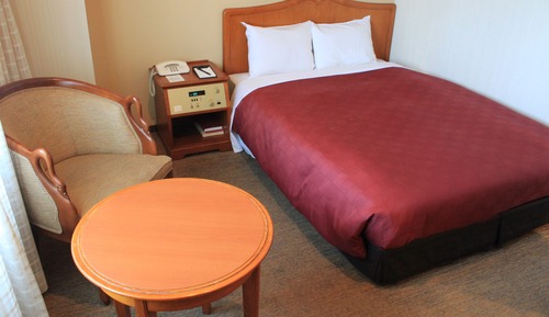 Economy Double Room, Non Smoking (Semi Double Room)