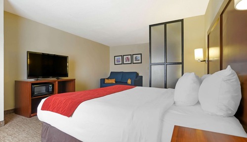 Suite, 1 King Bed with Sofa bed, Accessible, Non Smoking
