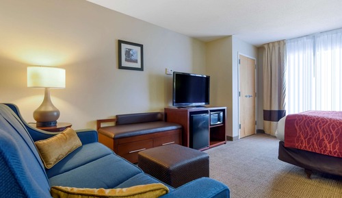 Suite, 1 King Bed, Non Smoking