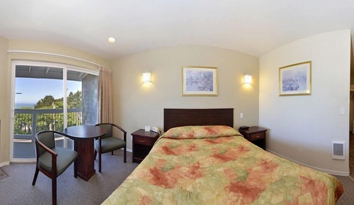 Room, 1 King Bed, Fireplace, No View