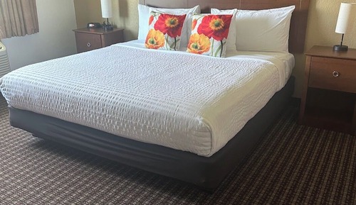 Standard Single Room, 1 King Bed