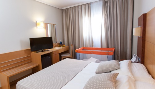 Double Room Single Use, 1 Queen Bed