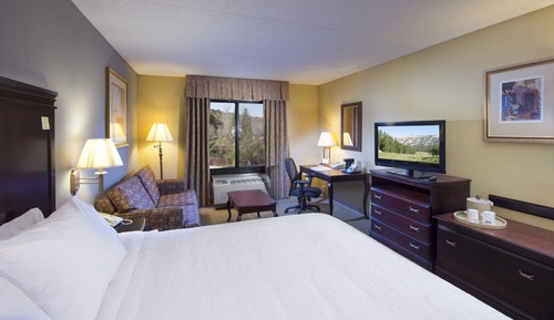 Room, 1 King Bed, Accessible, Non Smoking