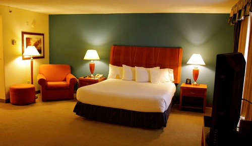 Room, 1 King Bed, Accessible