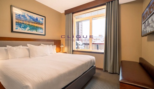 Suite, 1 Bedroom