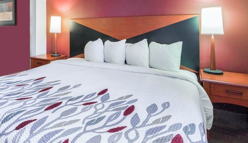 Superior Room, 1 King Bed, Accessible, Non Smoking (Roll-In Shower)