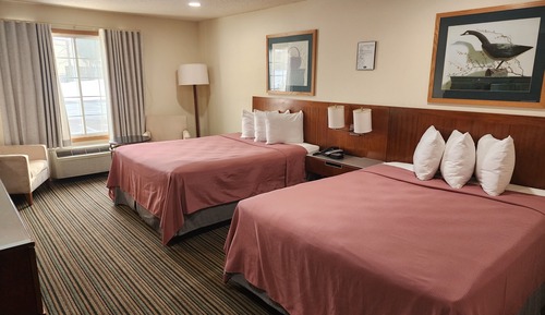 Deluxe Double Room, 2 Queen Beds