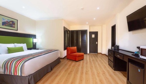 Room, 1 King Bed, Non Smoking