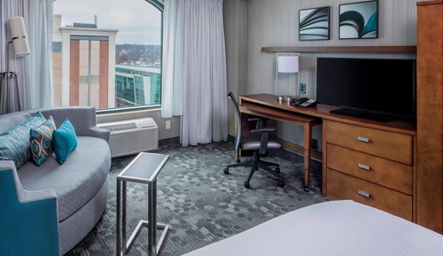Room, 1 King Bed with Sofa bed, Non Smoking (Mobility/Hearing Accessible, Tub)