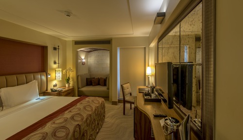 Room, 1 King Bed