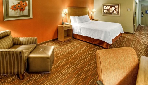 Room, 1 King Bed, Non Smoking