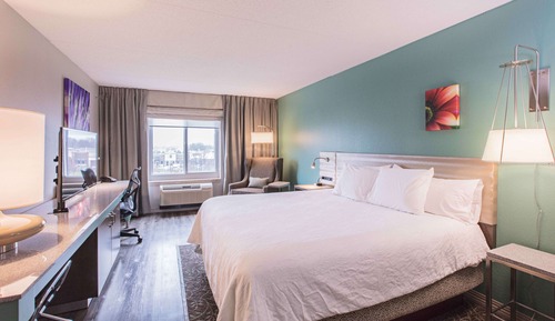 Room, 1 King Bed