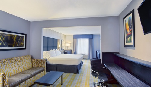 Suite, 1 King Bed