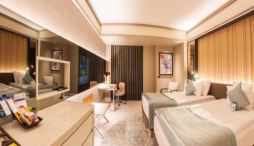 Standard Twin Room, Multiple Beds
