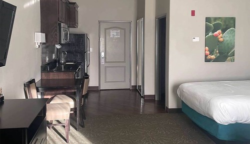 Room, 1 King Bed, Non Smoking (Efficiency)