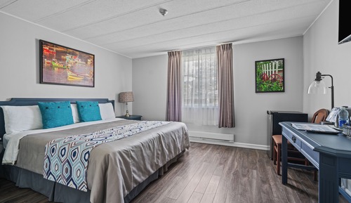 Room, 1 King Bed