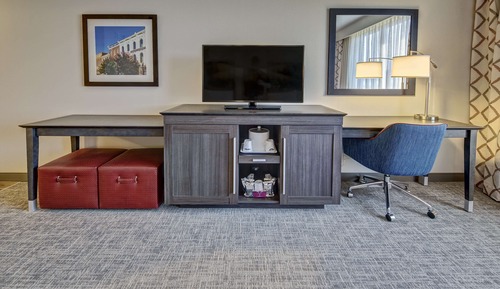 ADA Accessible Room, 1 King Bed, Accessible (Roll-in Shower)