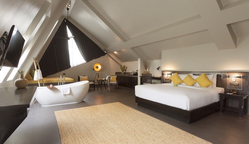 Deluxe Rooftop Suite Room