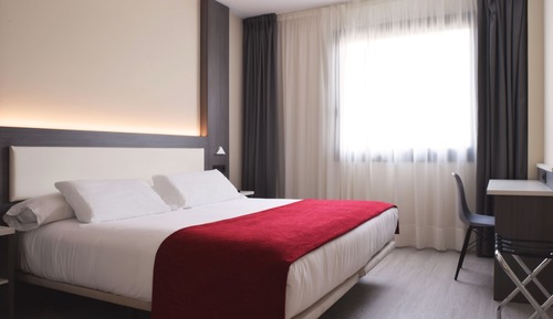 Double Room, 1 King Bed