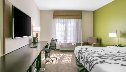 Standard Room, 1 King Bed with Sofa bed, Non Smoking (2 Person Sofa bed)