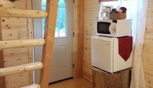 Classic Cabin, 1 Bedroom, Refrigerator & Microwave, River View