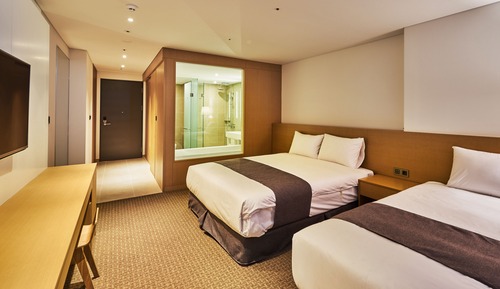 Deluxe Twin Ocean View