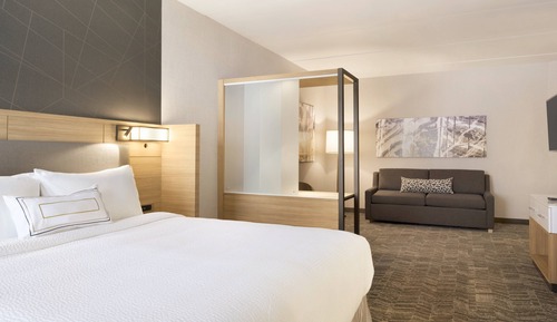 Suite, 1 King Bed with Sofa bed (Hearing Accessible)