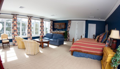 Standard Suite, 1 King Bed, Non Smoking, Private Bathroom (America)