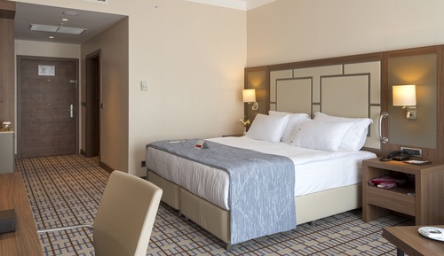 Room, 1 King Bed, Mobility Accessible