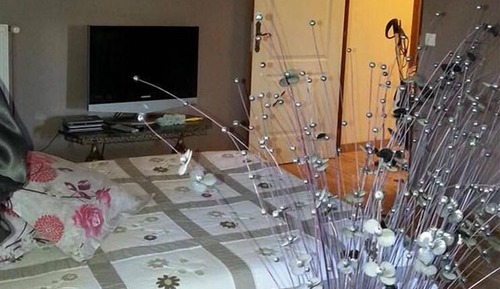 Family Room (Zen)