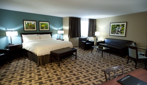 Executive Room, 1 King Bed, Hot Tub