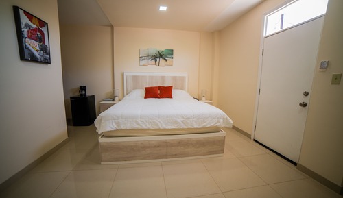 Luxury Single Room, 1 King Bed