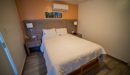 Junior Suite, 1 Queen Bed