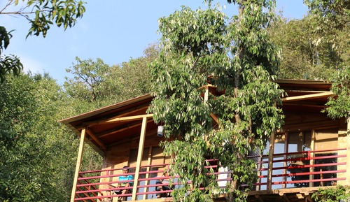 Tree House