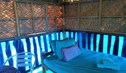 Panoramic Tree House