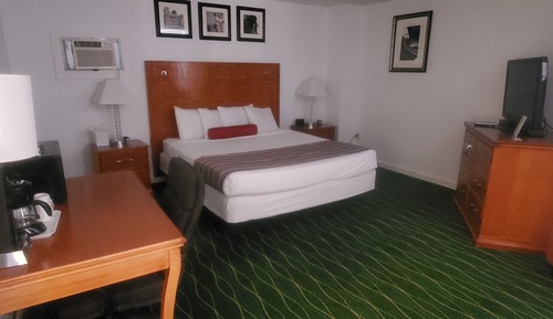Premium Room, 1 King Bed, Refrigerator & Microwave
