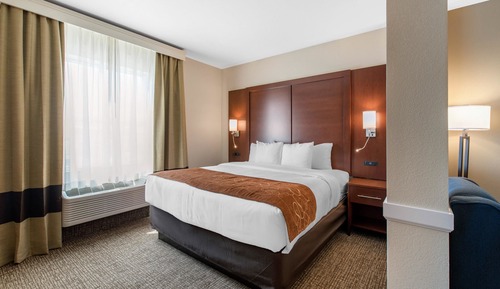 Suite, 1 King Bed, Non Smoking (Efficiency)