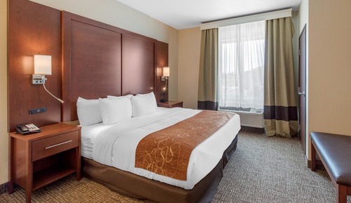 Suite, 1 King Bed with Sofa bed, Non Smoking