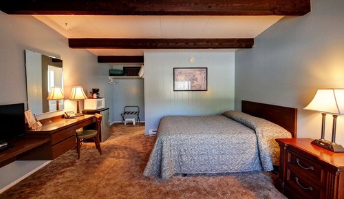 Classic Single Room Pet Friendly