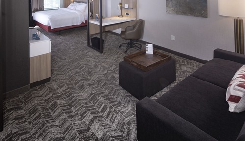 Studio Suite, 1 King Bed with Sofa bed (Mobility/Hearing Access, Roll-In Shwr)