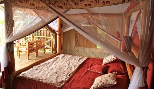 Luxury Tent